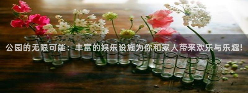 三牛娱乐：公园的无限可能：丰富的娱乐设施为你和家人带来欢乐与乐趣!