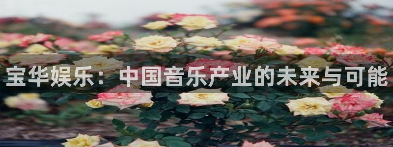 三牛娱乐：宝华娱乐：中国音乐产业的未来与可能