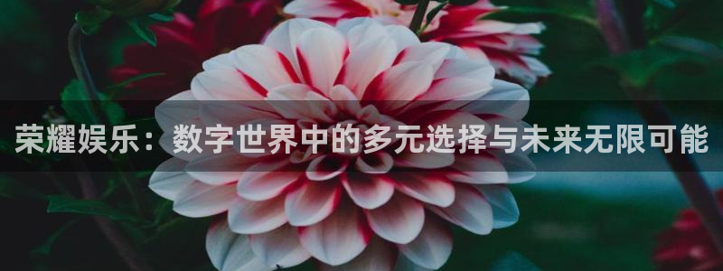三牛娱乐：荣耀娱乐：数字世界中的多元选择与未来无限可能