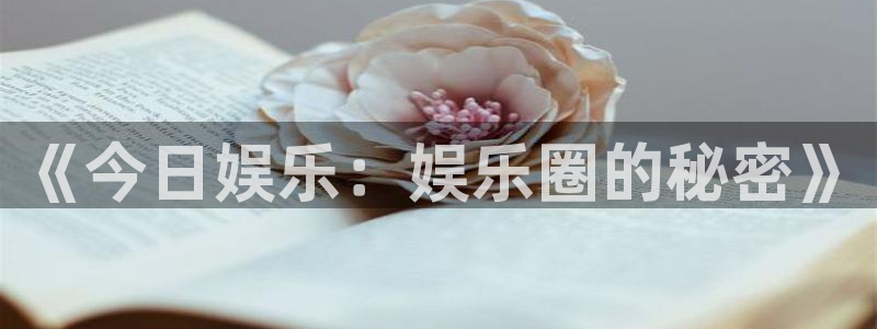三牛娱乐：《今日娱乐：娱乐圈的秘密》